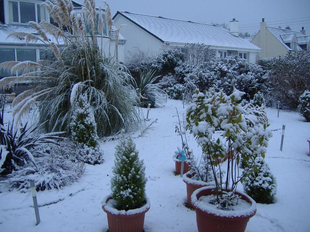 Springfield B&B Boreland of Colvend ภายนอก รูปภาพ